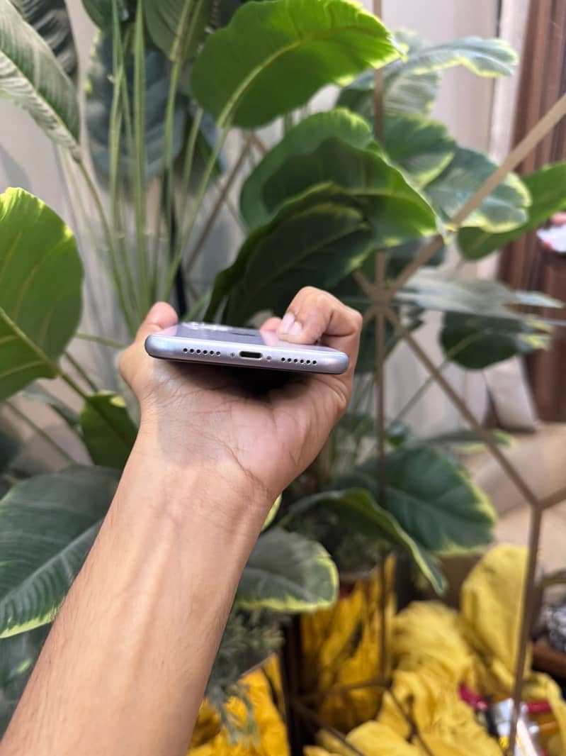 Apple iPhone 11 4
