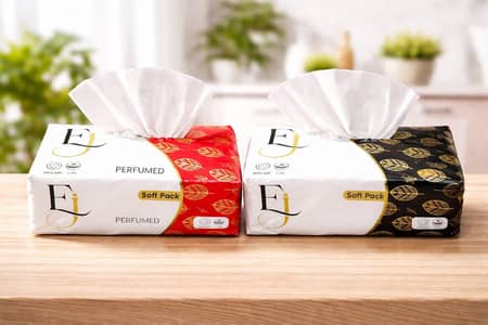 Ej Soft Pack Tissu 300sheets 2xply