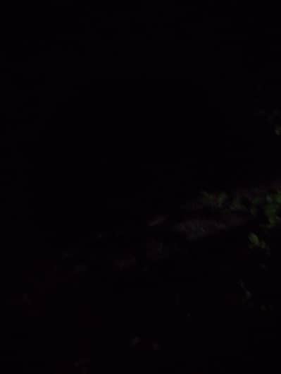 Female Found at Street