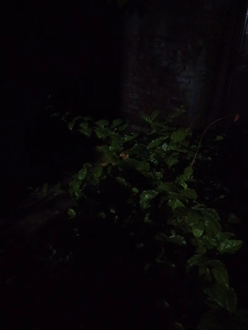 Female Found at Street — photo 2