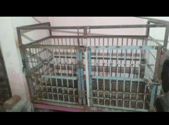 bahut hi majbut cage ha