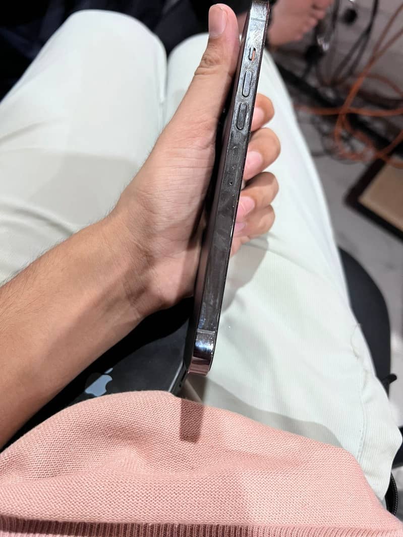 Apple iPhone 13 Pro Max 1