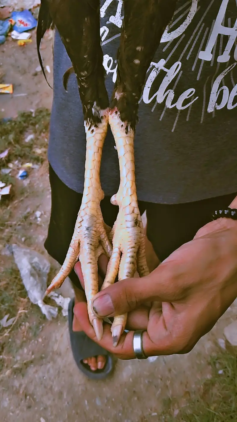 urgent sale kerna he — photo 3