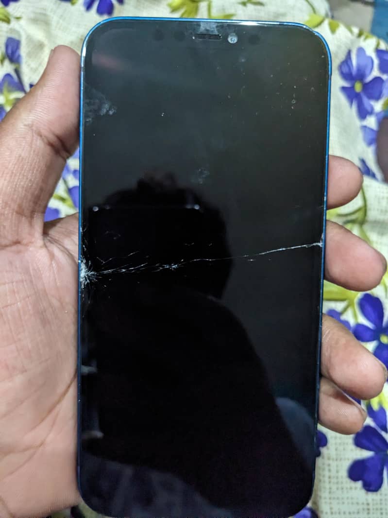 Apple iPhone 12 1