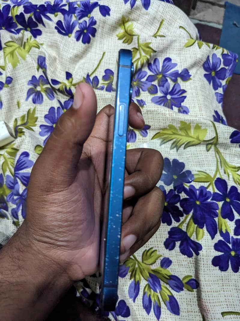 Apple iPhone 12 5