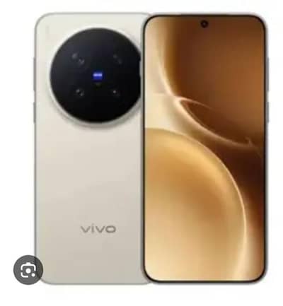 Vivo X300 Pro