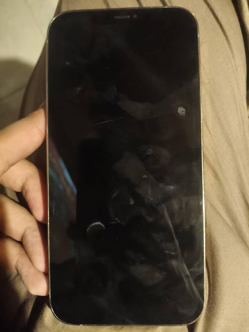 Apple iPhone 12 Pro Max 1