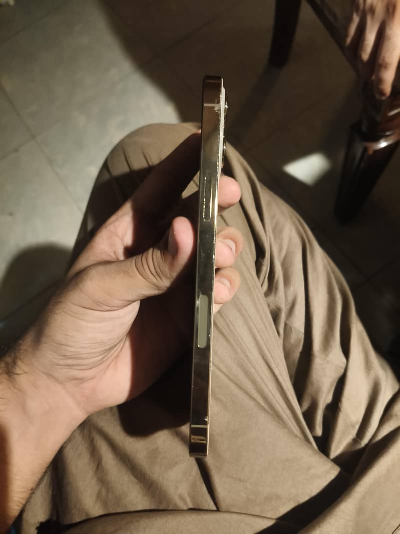Apple iPhone 12 Pro Max 2