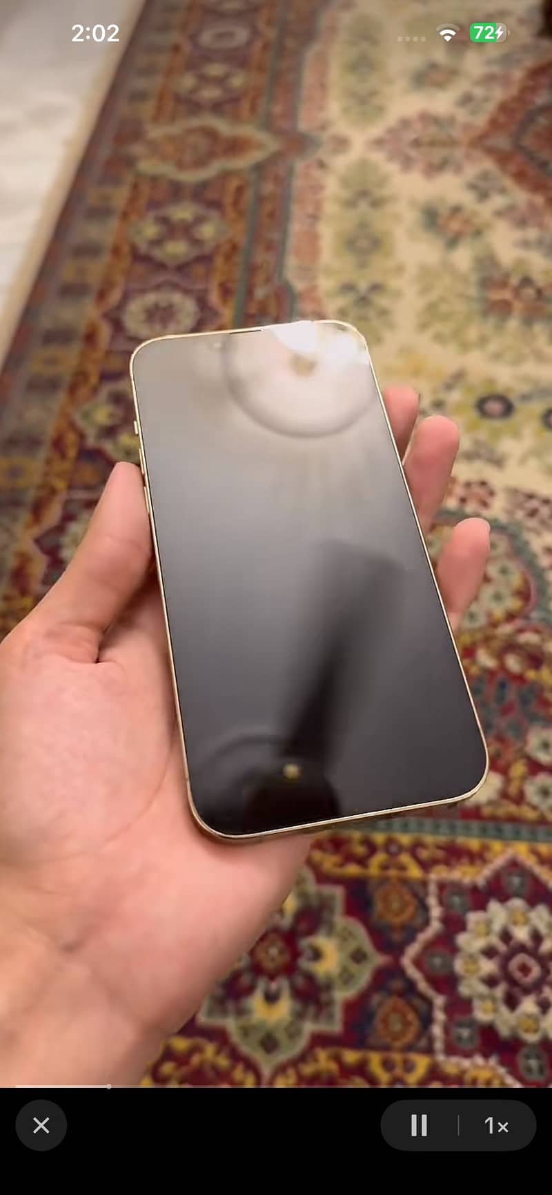 Apple iPhone 13 Pro Max 1