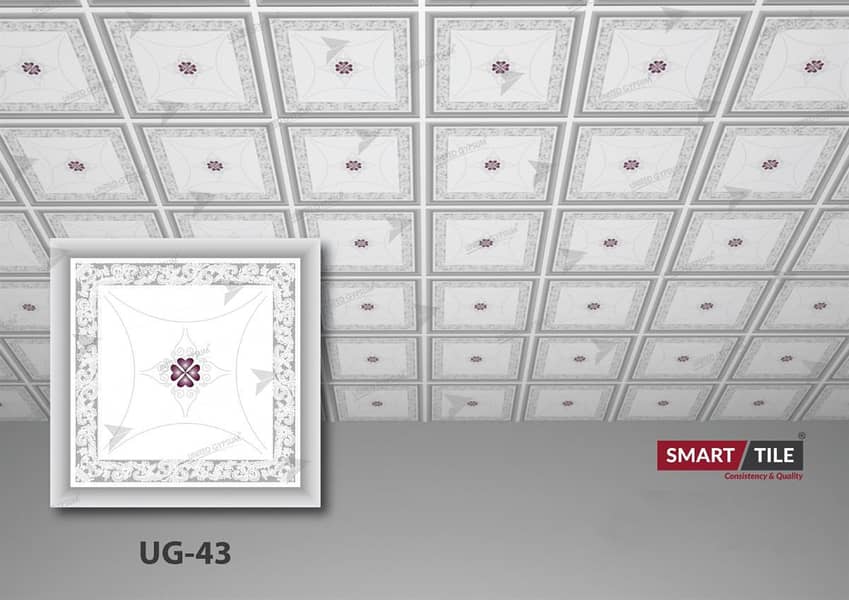 false ceiling 4