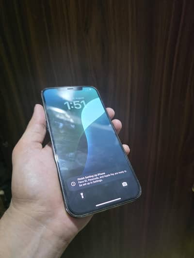 Apple iPhone 12 Pro Max