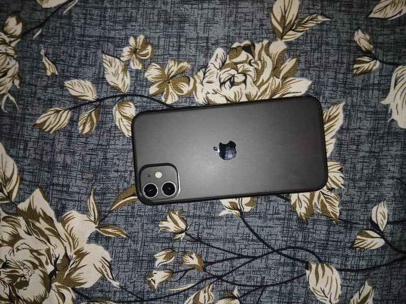 Apple iPhone 11 0