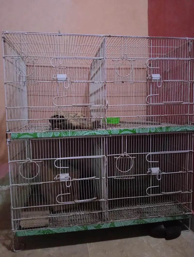master cage 8 portion — photo 2