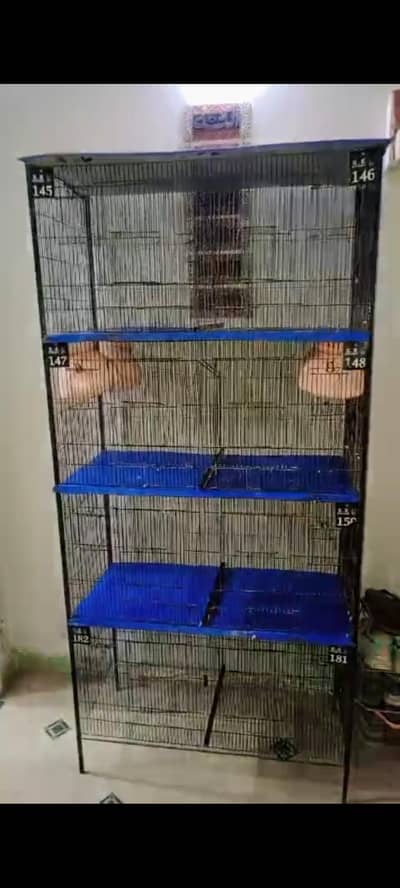 birds cage 8 portions
