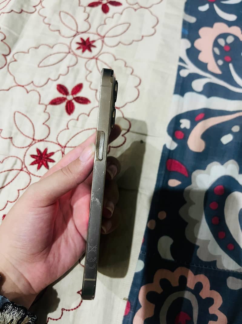 Apple iPhone 13 Pro 2
