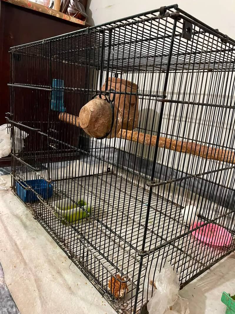 Cage 1 0