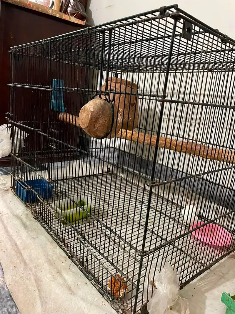 Cage 1