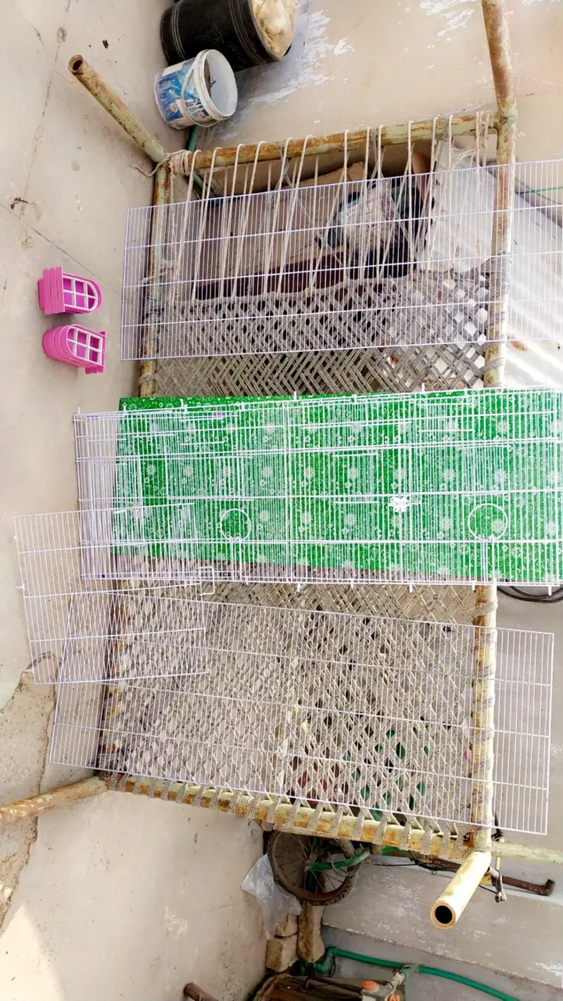 2 Cages — photo 2
