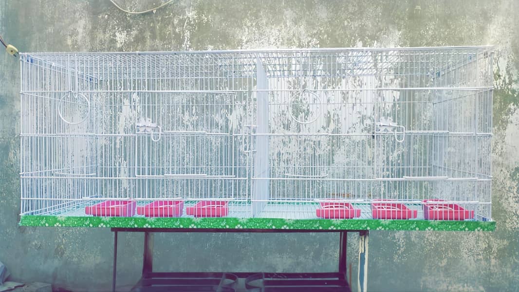 2 Cages 2