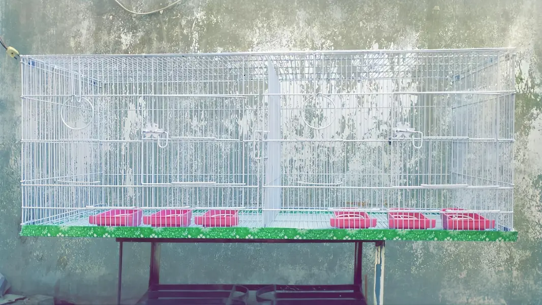 2 Cages — photo 3