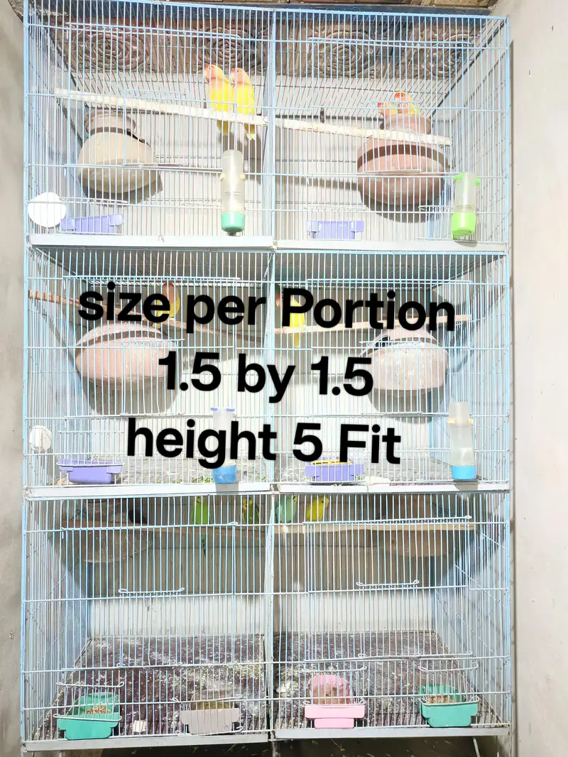 2 Cages — photo 4