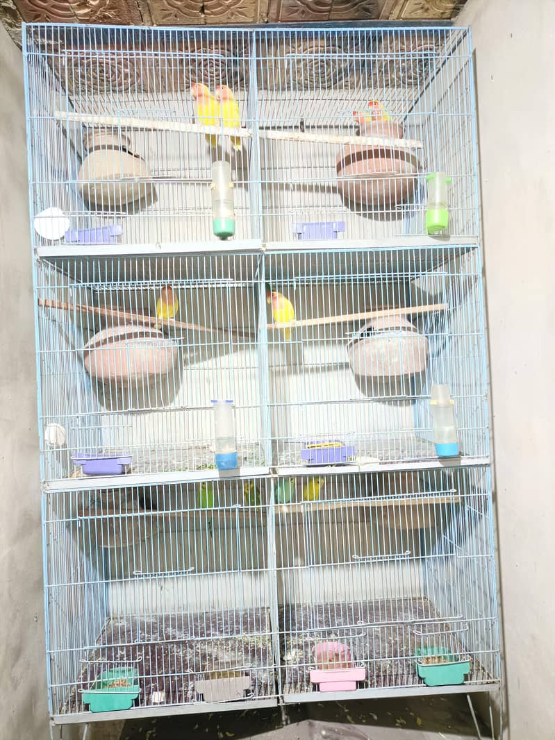 2 Cages 4