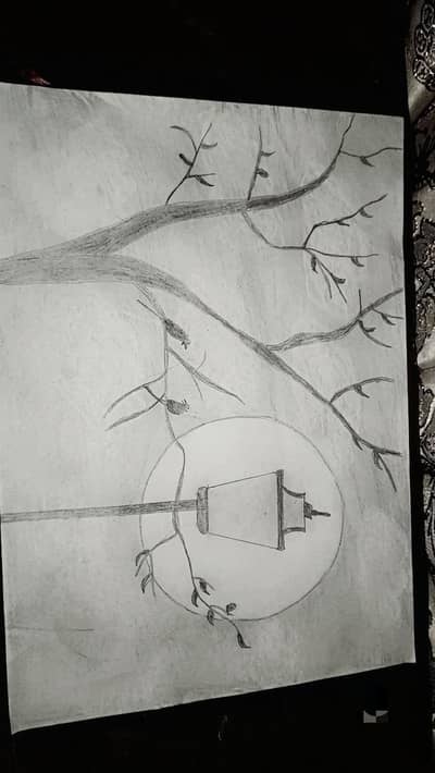 Handmade Cute Teddy & Nature pencil Sketches