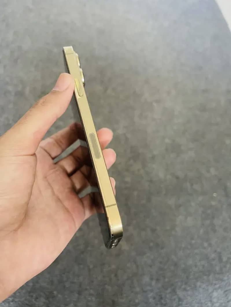Apple iPhone 13 Pro Max 1