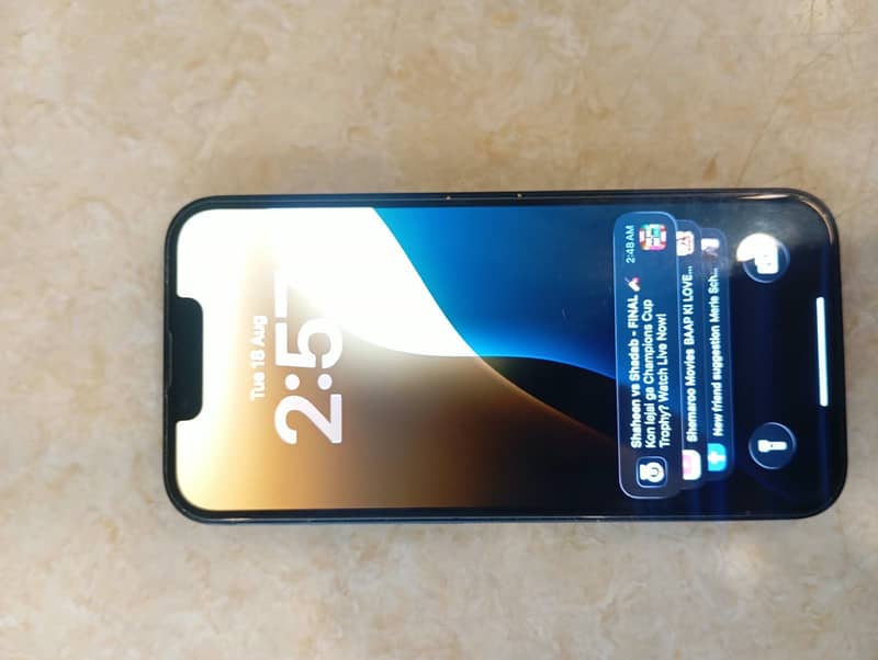 Apple iPhone 13 0