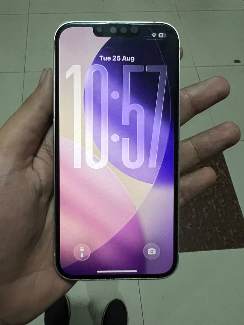 Apple iPhone 13 0
