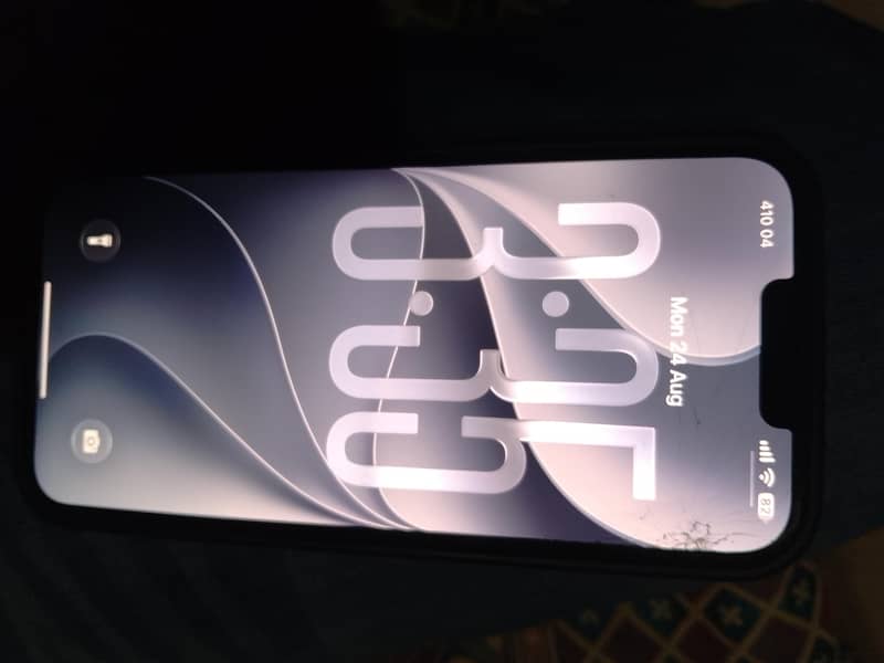 Apple iPhone 13 Pro Max 1