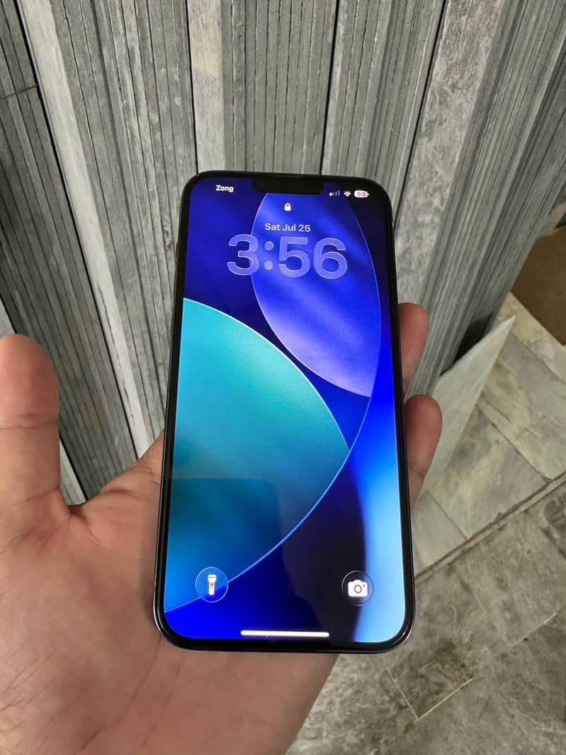 iphone 13 pro max 1