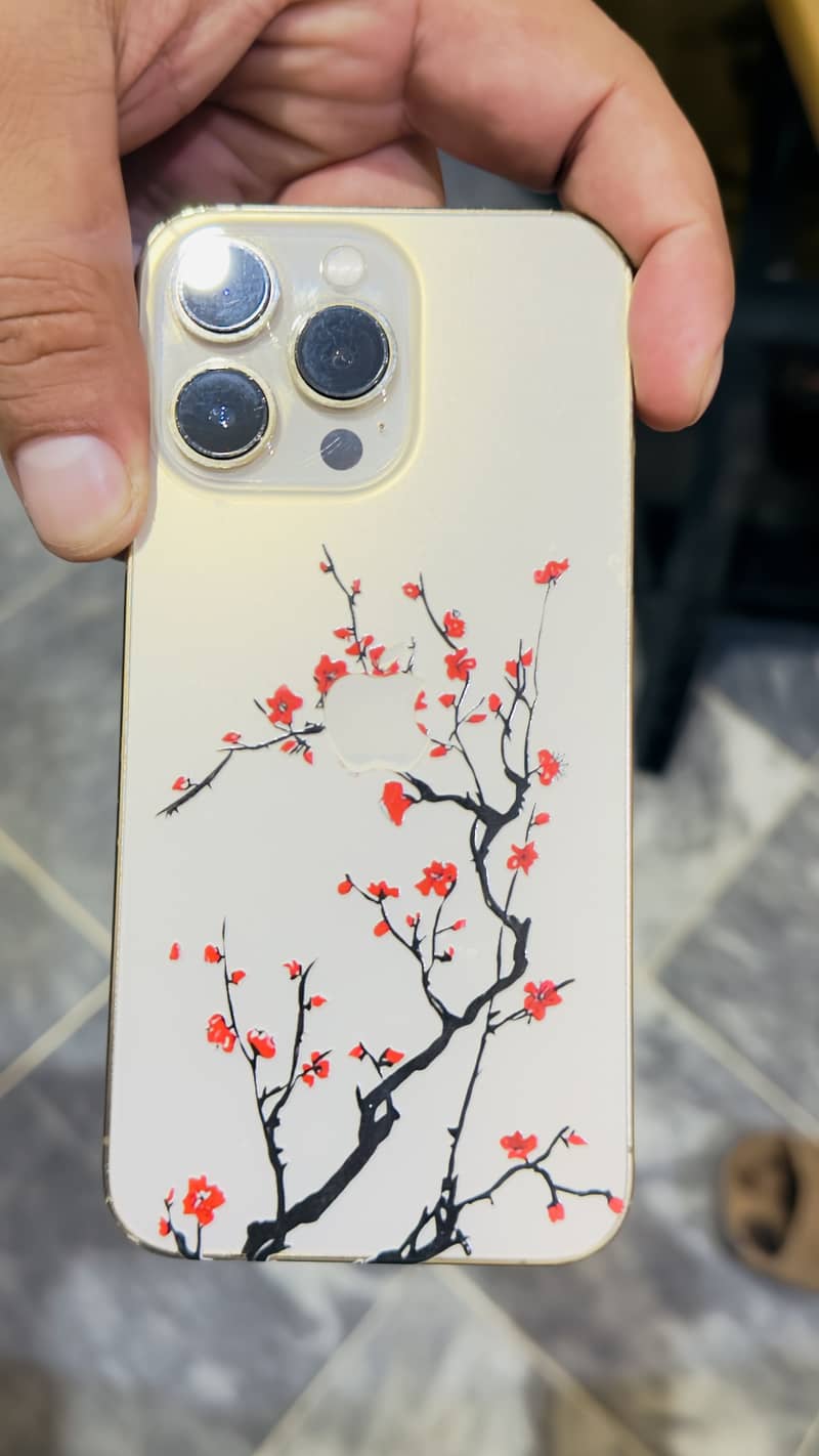 Apple iPhone 13 Pro 0