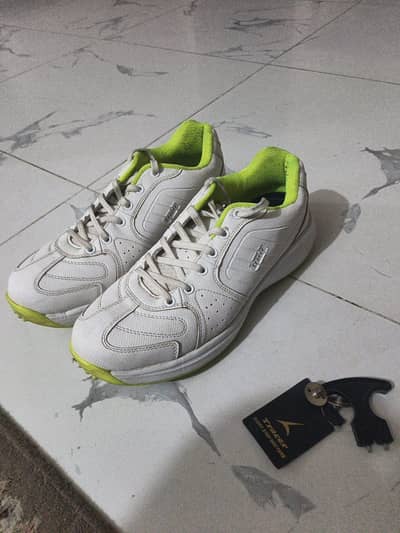Cricket Spickes Shoes