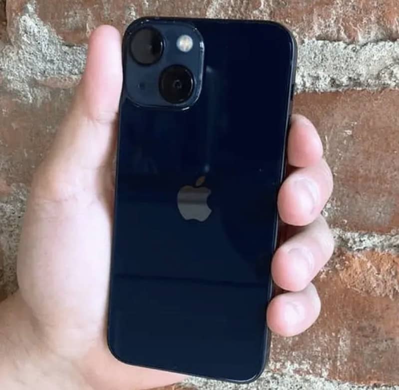 Apple iPhone 13 0