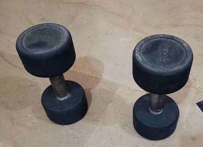 5kg dumbbell