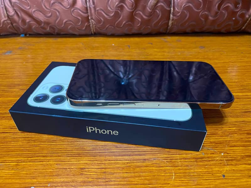 Apple iPhone 13 Pro Max 2