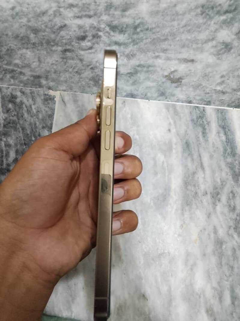 Apple iPhone 13 Pro Max 0