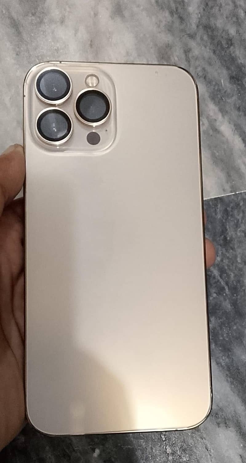 Apple iPhone 13 Pro Max 1