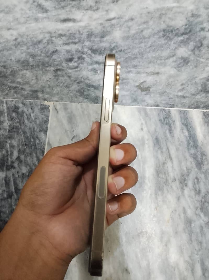 Apple iPhone 13 Pro Max 2