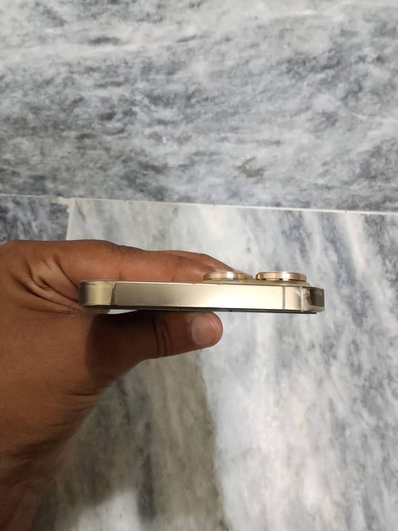 Apple iPhone 13 Pro Max 3