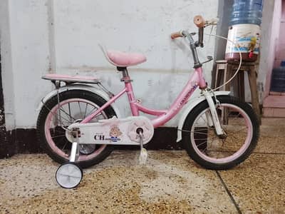 CHAMPION imported Cycle - 16 size - 0320/2257/271
