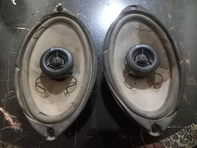 cultus original speakers