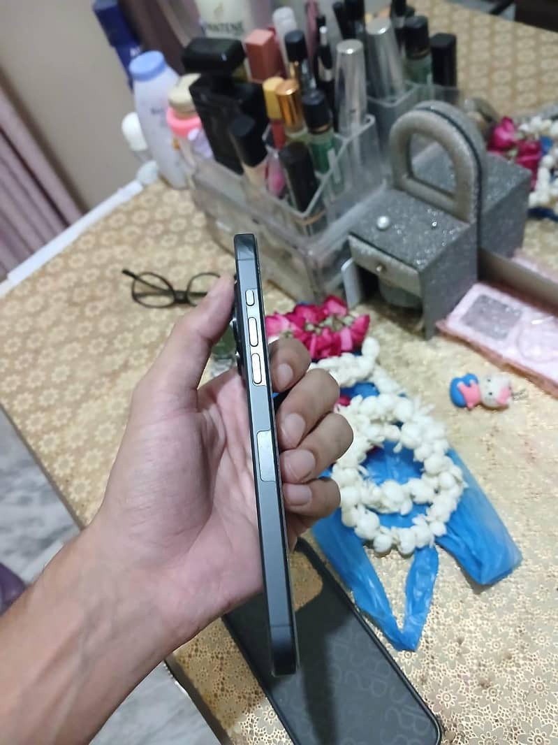 Apple iPhone 15 Pro Max 3