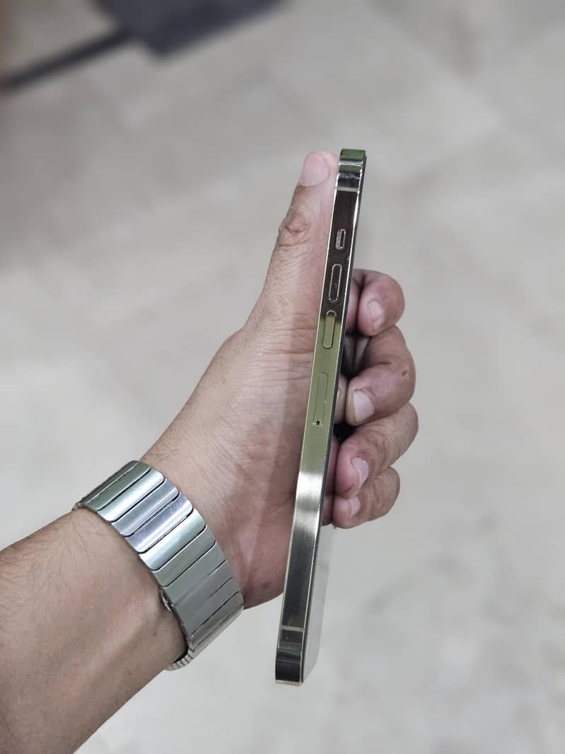 Apple iPhone 13 Pro Max 3