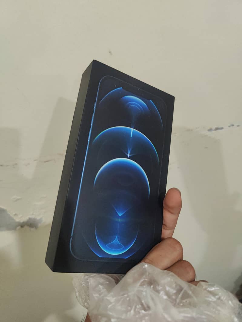 Apple iPhone 12 Pro Max 1