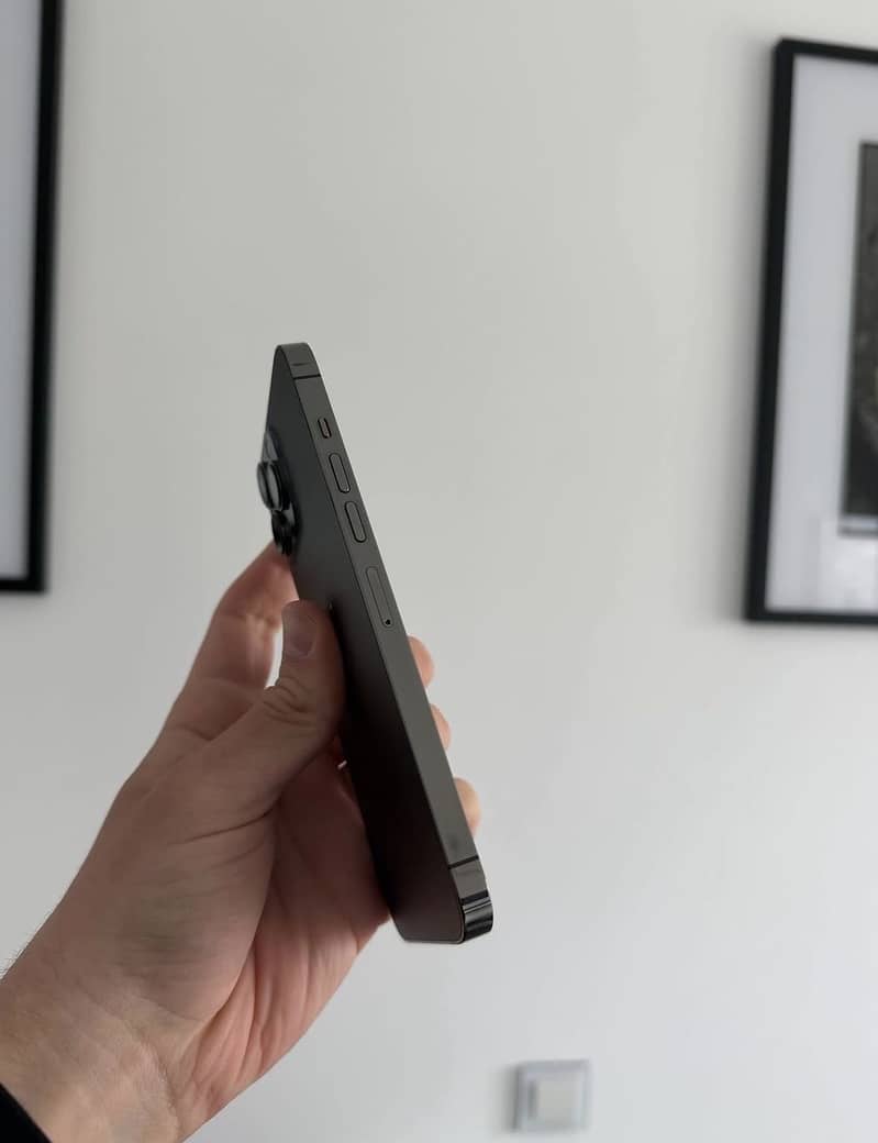Apple iPhone 13 Pro Max 1