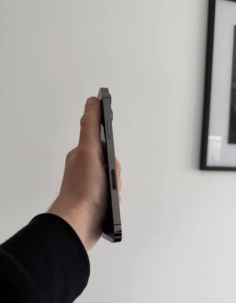 Apple iPhone 13 Pro Max 2