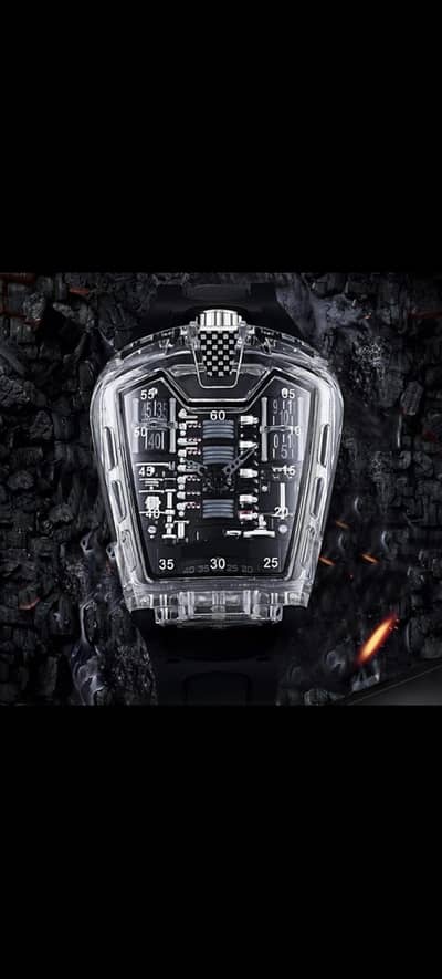 Hubbit Ferrai Watch