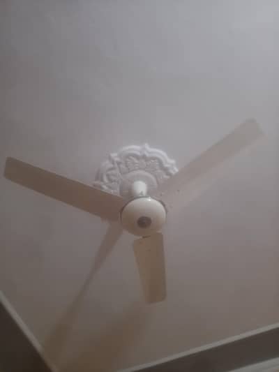 Pak Fan Delux Model Fan for sale 9/10 pure copper no repair
